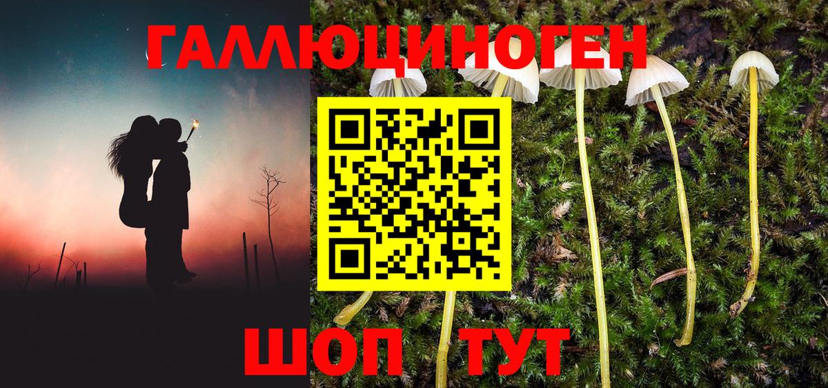 Галлюциногенные грибы Cubensis  Вход с VPN  Саранск 
